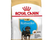 Sparpaket Royal Canin - Rottweiler Puppy (2 x 12 kg)