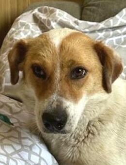 OLENA sehnt sich nach einer Familie - Hof