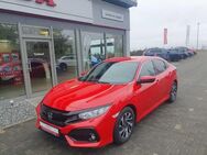 Honda Civic 1.0 i-VTEC Turbo Elegance - Anklam