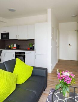 Neues, geräumiges 1-Zimmer-Apartment, voll möbliert & ausgestattet in Hainburg - Hainburg