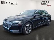 Audi e-tron, 50 quattro basis Plus, Jahr 2021 - Binzen
