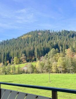Stilvolle, geräumige und sanierte 4,5-Zimmer-Wohnung mit Balkon und Aussicht auf den Schwarzwald - Enzklösterle