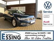 VW Passat Variant, 2.0 TDI Business, Jahr 2023 - Lastrup