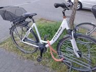 Stevens Damenfahrrad - Landau (Pfalz)