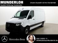 Mercedes Sprinter, 317 Kasten Standard, Jahr 2023 - Oldenburg