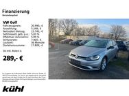 VW Golf, 1.5 TSI VII IQ DRIVE, Jahr 2019 - Hildesheim