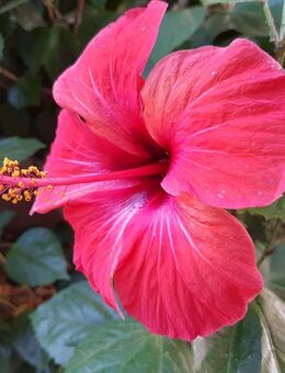 !!!neu!!!+++ traumhaftes Haus in attraktiver Lage provisionsfrei +++ - Dachau