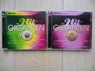 Die Hit-Giganten Pop&Wave Hits der 80er+Hits der 90er SAT.1 Sony BMG, 2 Doppel-CD zus. 3,- - Flensburg