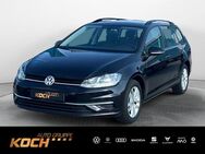 VW Golf Variant, 2.0 TDI Golf VII Comfortline, Jahr 2020 - Ellwangen (Jagst)