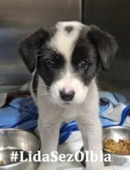 ORNELLA - zum Verlieben süß - Regensburg