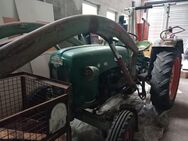 Oldtimer Traktor Kramer - Burggen