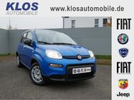 Fiat Panda, 1.0 HYBRID GSE 70PS CITY PAKET, Jahr 2024 - Völklingen