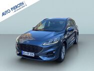 Ford Kuga, 2.5 Duratec ST-LINE X, Jahr 2023 - Worms