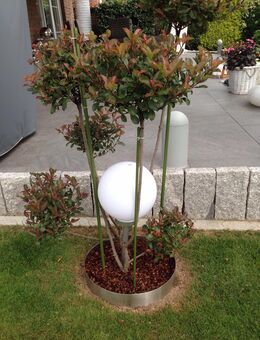 Beetumrandung PR600 Pflanzenring Edelstahl V2A 600mm - Hiddenhausen