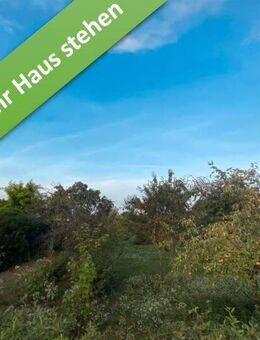 Inkl. Grundstück, ein Bungalow, der begeistert in Wipshausen. - Edemissen