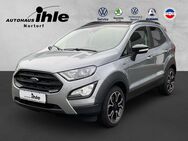 Ford EcoSport, 1.0 EcoBoost Active, Jahr 2022 - Nortorf (Landkreis Rendsburg-Eckernförde)