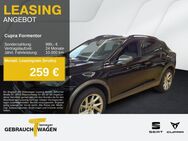 CUPRA Formentor, 2.0 TDI 4D LM18, Jahr 2023 - Lüdenscheid