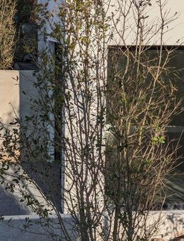 Lässiges 1-Zimmer Appartement mit Terrasse - Nürnberg