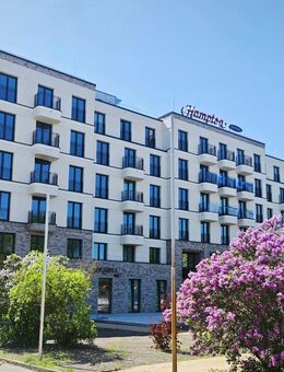 *Besichtigung am 09.09.2025 um 15:00 Uhr* - Möbliertes Neubau-Apartment in Potsdam - Potsdam