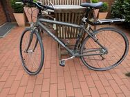 Cannondale H 500 CAD 2 - Witten