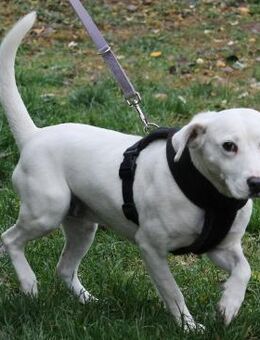 Cassandra sucht ihr großes Glück - Berlin