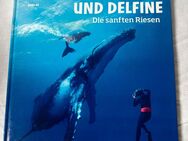 Buch Was ist Was Wale und Delfine neuwertig - Kleinkahl