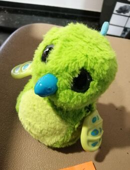 Hatchimals - Hausach Zentrum