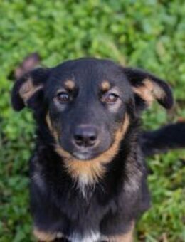 253434 - zusammen den Tag erleben - Overath