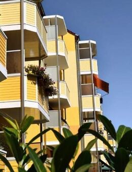 Gemütliche Wohnung in toller Lage - Riesa