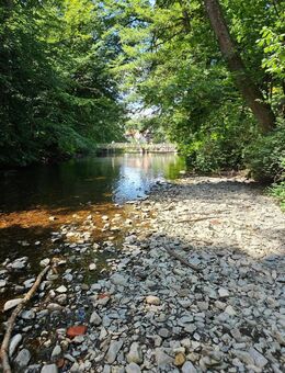 Kompakte Einheiten, auch als Immo-Anlage perfekt! Top Lage! - Bad Lauterberg (Harz)