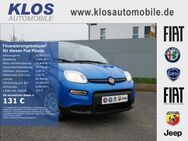 Fiat Panda, 1.0 HYBRID GSE 70PS CITY PAKET, Jahr 2024 - Kirn