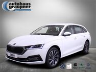 Skoda Octavia, 1.5 TSI Combi Style, Jahr 2023 - Brandis