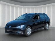 VW Golf Variant VII 1.0TSI*Navi PDCv+h SHZ Bluetoo - Ruhstorf (Rott)