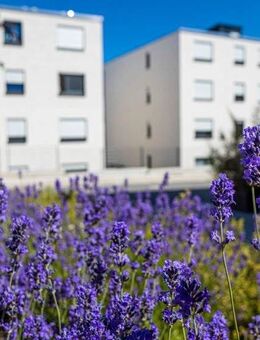 Mietwohnung aus gefördertem Wohnraum (Berechtigungsschein notwendig) - Trier