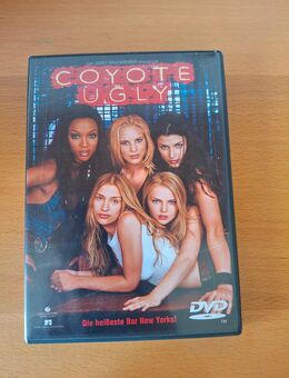 DVD Coyote Ugly - Sulzburg