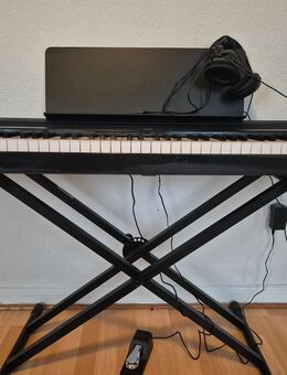 B2 E piano - Bevern (Niedersachsen)