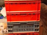 10 x Stapelbox................................................................................. - Argenschwang