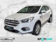 Ford Kuga, 1.5 EcoBoost Titanium, Jahr 2017 - Bad Driburg