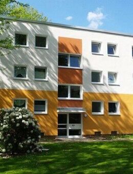 Barrierearme, umfassend sanierte und renovierte Wohnung mit ebenerdiger Dusche - Dortmund
