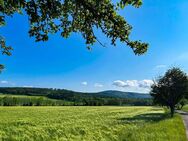 Drei Baukörper auf 100.000 m² Wald und Wiese - ein Paradies für Sie und Ihre Tiere! - Neustadt (Sachsen) Hohwald