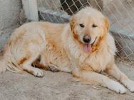 Jackpot Loki - Stuttgart
