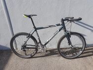 MTB. Cannondale - Puchheim Zentrum