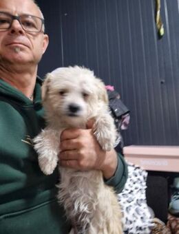 Flitze freute sich auf einen Ausflug - Berlin