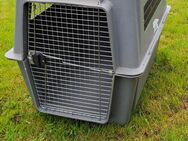 Hundebox - Riedlingen