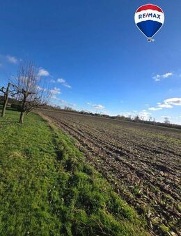 Traumhafter Resthof, modernisiert, vielseitig nutzbar auf 6700 qm großem Grundstück. - Visbek