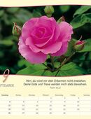 Kalenderbilder, verschiedene Motive, zum Basteln zu verschenken in 70329