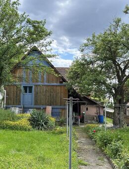Kleines Haus mit großem Garten und Scheune - Freiburg (Breisgau)