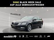 Skoda Octavia, Combi Style 110kw TDI, Jahr 2019 - Niestetal