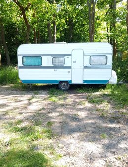Nette Freundin gesucht! - Leipzig