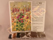 Set Blumenmischung Blütenmeer Bienen Blumen Mix Mischung Geschenk Samen Saatgutmischung Blumensamen Saatgut Vielfalt im Garten lila rot weiß Gartenparadies Geschenk SWR Treffpunkt - Pfedelbach